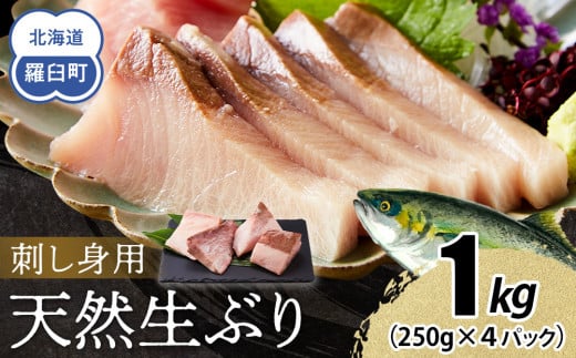 【2026年2月発送】北海道 知床羅臼産 天然ぶり刺身 1kg (250g×4パック) 魚 海産物 魚介 魚介類 ブリ 鰤 刺身 ご飯のお供 冷凍 生産者 支援 応援 1610969 - 北海道羅臼町