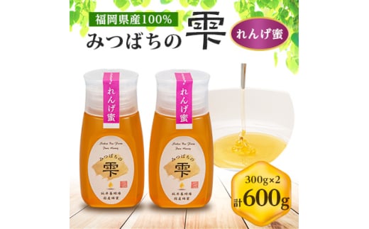 みつばちの雫　国産れんげ蜜　300g×2【1496814】 2101155 - 福岡県大牟田市
