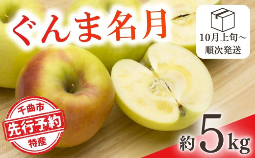 【2025年先行予約】りんご ぐんま名月 約5kg 林檎 群馬名月 ぐんまめいげつ 千曲市 長野県産 信州 2037722 - 長野県千曲市