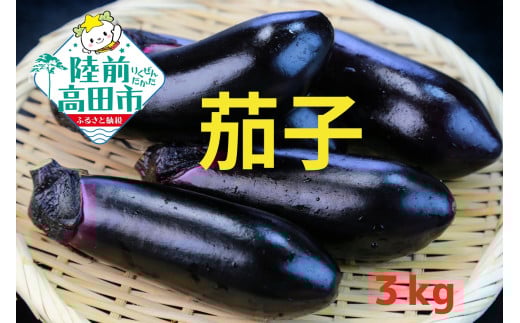 【予約受付中・令和7年7月中旬頃から発送】茄子（黒福）3.0kg（18本以上）【軍見洞農園】