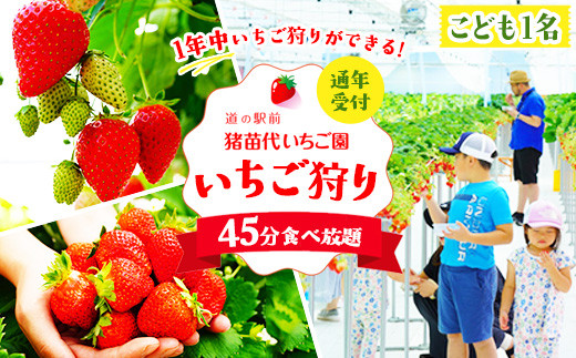 ＼レビュー投稿でお米プレゼント/いちご狩り 1年中 「道の駅前 猪苗代 いちご園」 こども1名チケット(4歳〜小学生) | 苺 通年 猪苗代・会津地域