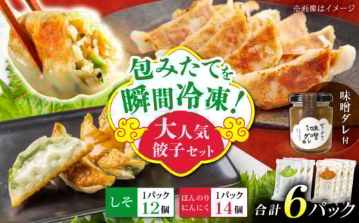 【3パック】餃子屋ヒロの大人気餃子セット＋特製味噌ダレ付【餃子屋ヒロ】開成町 餃子 点心 惣菜 冷凍 [BDAS009-3]