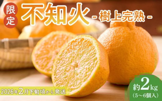 ［限定］不知火 樹上完熟 約2kg （5～6個入）［2026年2月下旬頃から3月下旬頃発送］［KG6］ 1237610 - 和歌山県高野町