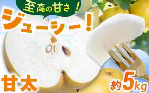 【★先行予約★ 2026年9月中旬より発送】梨（甘太）約5kg なし ナシ 梨 甘太 果物 くだもの 果汁 フルーツ デザート 旬 甘い 食感 丸い 産地直送 広川町 / JAふくおか八女農産物直売所どろや [AFAB061] 1543692 - 福岡県広川町