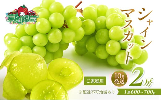 ぶどう 2025年 先行予約 ご家庭用 シャインマスカット 約2.0kg 3 ぶどう 2025年 先行予約 ご家庭用 シャインマスカット 約2.0kg 3
