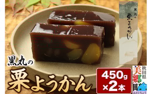 栗ようかん 2本（450g×2本） ＜ゆうパケット＞