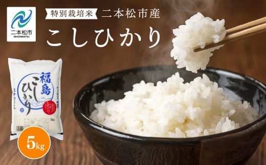 二本松市産こしひかり5kg 米 精米 コシヒカリ 5kg 送料無料 特別栽培 お米 こめ おすすめ お中元 お歳暮 ギフト 二本松市 ふくしま 福島県 送料無料【株式会社あだたら米】 2098053 - 福島県二本松市