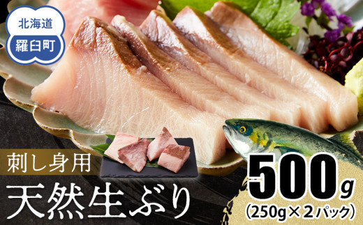 【2026年1月発送】北海道 知床羅臼産 天然ぶり刺身 500g (250g×2パック) 魚 海産物 魚介 魚介類 ブリ 鰤 刺身 ご飯のお供 冷凍 生産者 支援 応援 1610956 - 北海道羅臼町