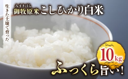 【里山JAPAN】長野県産！生きた土壌で育った御牧原米こしひかり 白米（八分づき・令和7年産）　10㎏（5kg×2袋）｜2025年10月上旬以降に発送予定
