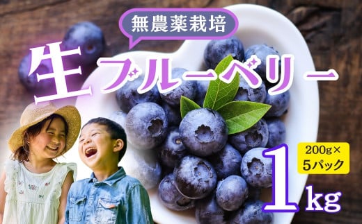 【先行予約】無農薬 完熟ブルーベリー姫<生>１kg(2025年7月より発送） (7-A15)