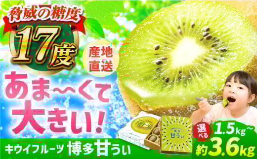 【★先行予約★　2025年11月上旬以降発送】福岡県ブランド! キウイフルーツ 博多甘うぃ 約3.6kg キウイ きうい あまうぃ 果物 くだもの フルーツ ギフト 甘い 果肉 果実 ビタミンC 博多 広川町 / JAふくおか八女農産物直売所どろや [AFAB013] 1694000 - 福岡県広川町