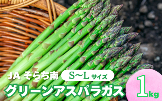 【先行予約】春一番！JAそらち南の味覚「グリーンアスパラガス」S～L 1kg前後　YC015