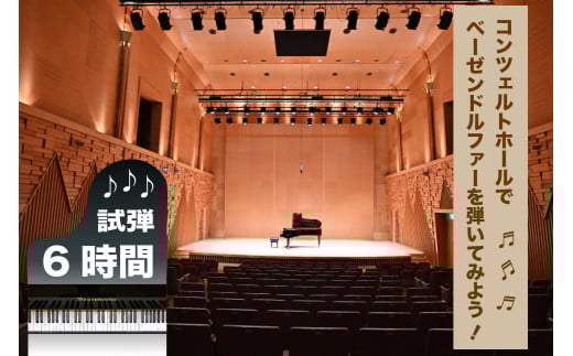 コンチェルトホール　ベーゼンドルファー　ピアノ【6時間】試弾チケット