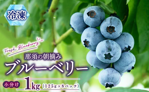 【先行予約】那須町朝摘み冷凍ブルーベリー1kg（真空パック125g×8袋）〔B-123〕 ※2025年6月上旬頃より順次発送予定