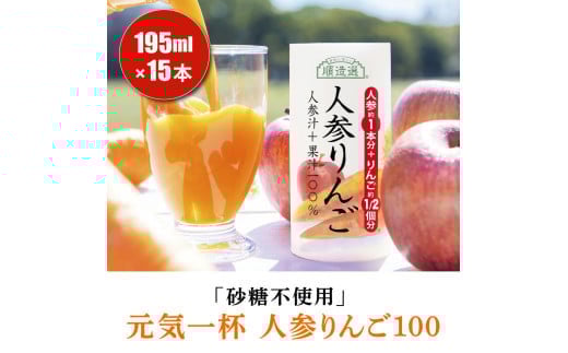 砂糖不使用 人参りんご 195g×15本 順造選｜無添加 無塩 健康 にんじん リンゴ ジュース ドリンク カロテン 長期保存 [0282ch]