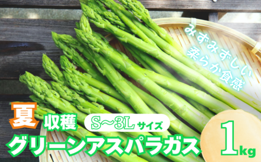 【先行予約】北海道産 夏採り!JAそらち南 夏の味覚「グリーンアスパラガス」S~3L 1kg前後 YC014