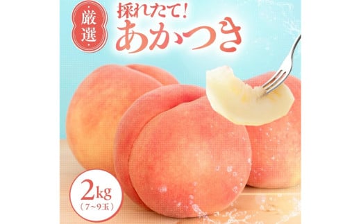 【7月下旬より順次発送】南信州産 桃 あかつき 約2kg 光センサー 選果機選別品【離島沖縄配送不可】 | 果物 くだもの フルーツ 桃 モモ もも あかつき 新鮮 長野県 信州 南信州 飯田市