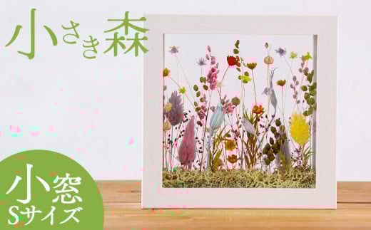 ＜小さき森 小窓 1個＞翌月末迄に順次出荷【 選べる サイズ 大きさ インテリア 雑貨 ドライフラワー プリザードフラワー 木枠 おしゃれ 癒し ハンドメイド 手作り かわいい 贈物 プレゼント ル ペパン Le pépin 宮崎県 国富町 常温 】 2101532 - 宮崎県国富町