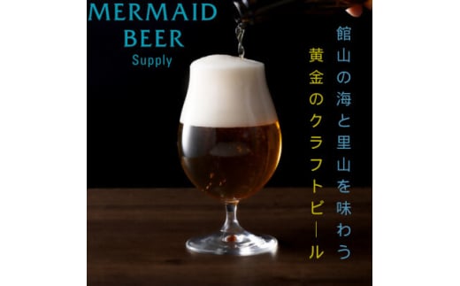 館山ブロンドエール 6本セット【1578218】 1955793 - 千葉県館山市