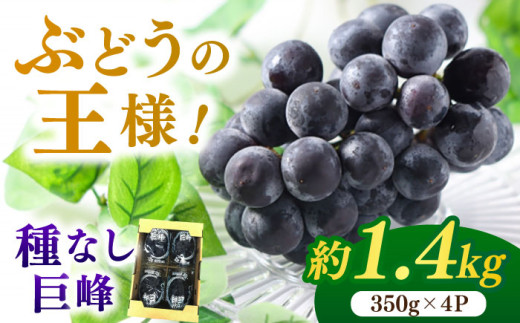 【★先行予約★ 2026年7月中旬より発送】種なし巨峰  約1.4kg ふどう ブドウ 葡萄 巨峰 種なし フルーツ 果物 果実 くだもの 旬 産地直送 福岡 新鮮 冷蔵 広川町 / JAふくおか八女農産物直売所どろや [AFAB017] 1529180 - 福岡県広川町