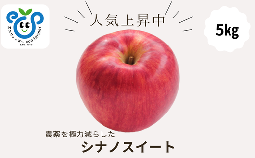 HF09-25A 【信州松川町産】 シナノスイート  約5kg／10月中旬発送開始予定 // 長野県 南信州 オリジナル品種 減農薬栽培 エコファーマー認証農家 りんご3兄弟 HF