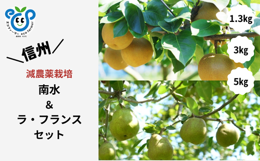 [信州松川町産] 南水梨&ラ・フランス 和梨と洋梨2種セット 約1.3kg〜約5kg / 10月下旬発送開始予定 / 長野県 南信州 減農薬栽培 和梨 なし ナシ 南水 洋梨 ラフランス エコファーマー認証 農家支援 HF
