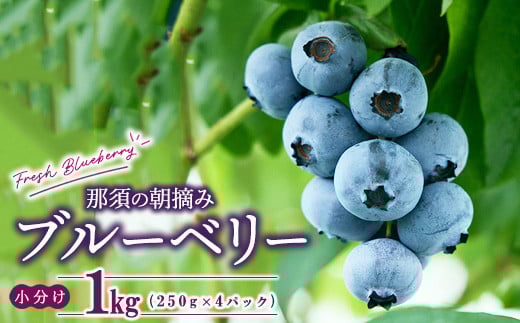 【先行予約】那須町ブルーベリー1kg（250g×4パック） 限定100個〔P-345〕 ※2025年6月上旬～7月下旬頃に順次発送予定 ※北海道・沖縄・離島への配送不可