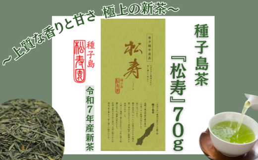 希少品種 種子島 茶 「 松寿 」1袋　  NFN613【175pt】