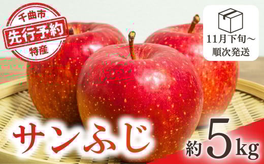 【2025年先行予約】りんご サンふじ 約5kg 林檎 千曲市 長野県産 信州 2037725 - 長野県千曲市