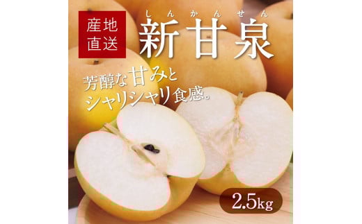 新甘泉 2.5kg【たにがみ農園】 484277 - 鳥取県鳥取市