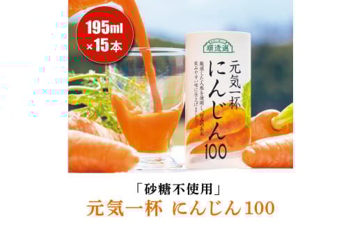 砂糖不使用 果汁100% 元気一杯 にんじん100 195g×15本 順造選｜無添加 無塩 健康 人参 ジュース ドリンク カロテン 長期保存 [0284ch]