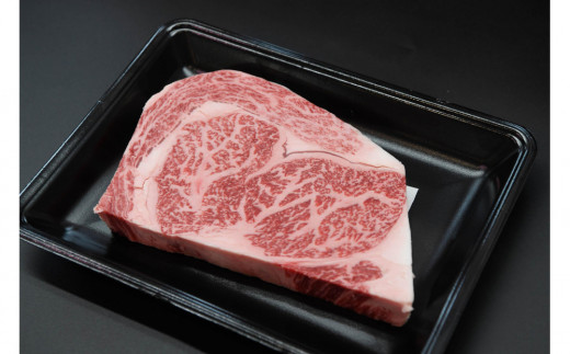 博多和牛 リブロースブロック 定期便全6回 計約3kg(約500g×6回) 2101081 - 福岡県大川市