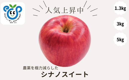 [信州松川町産] シナノスイート 約1.3kg〜約5kg/10月中旬発送開始予定 // 長野県 南信州 オリジナル品種 減農薬栽培 エコファーマー認証農家 りんご3兄弟 HF