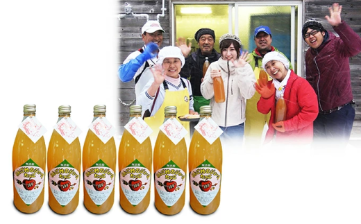 田子の無添加りんごジュース1L×6本 向井邦雄さん生産直送