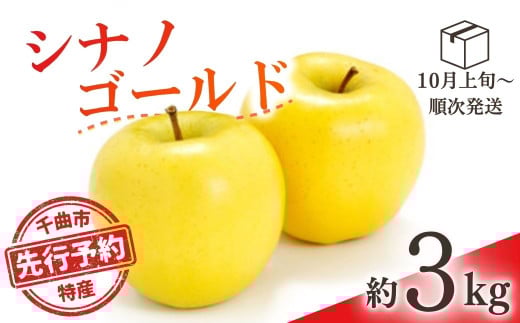 【2025年先行予約】りんご シナノゴールド(長野県オリジナル品種) 約3kg 林檎 千曲市 長野県産 信州 2037730 - 長野県千曲市