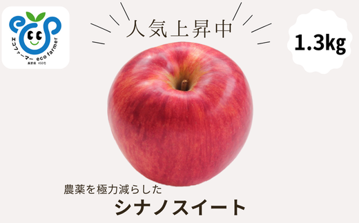 HF42-25A 【信州松川町産】 シナノスイート  約1.3kg／10月中旬発送開始予定 // 長野県 南信州 オリジナル品種 減農薬栽培 エコファーマー認証農家 りんご3兄弟 HF