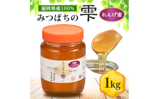 みつばちの雫　国産れんげ蜜　1000g【1496816】 2101157 - 福岡県大牟田市