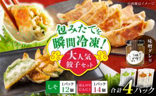 【2パック】餃子屋ヒロの大人気餃子セット＋特製味噌ダレ付【餃子屋ヒロ】開成町 餃子 点心 惣菜 冷凍 [BDAS009-2]