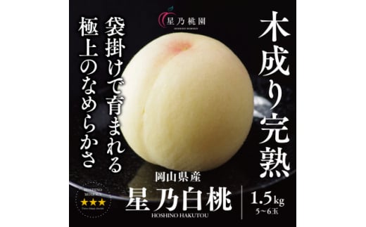 ＜星乃白桃＞岡山県産 三つ星 セレクト白桃 1.5kg (5～6玉)【1614279】