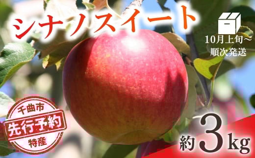 【2025年先行予約】りんご シナノスイート(長野県オリジナル品種) 約3kg 林檎 千曲市 長野県産 信州 2037719 - 長野県千曲市