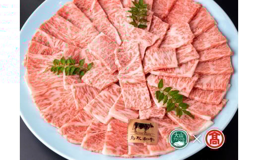 CE7<皆生菊乃家>鳥取和牛 A4ランク以上 サーロイン焼肉用(大山ブランド会) 400031 - 鳥取県南部町