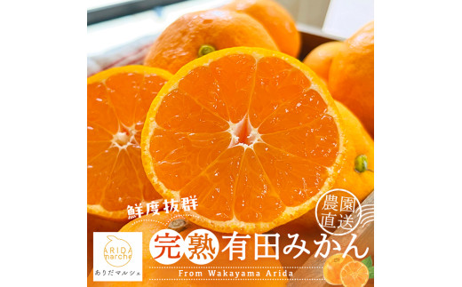 【先行予約】<11月上旬~>農園直送!完熟有田みかん【サイズ混合】10kg+200g 予約 和歌山 有田みかん みかん【11月発送】【ard004C-11】 1239033 - 和歌山県串本町