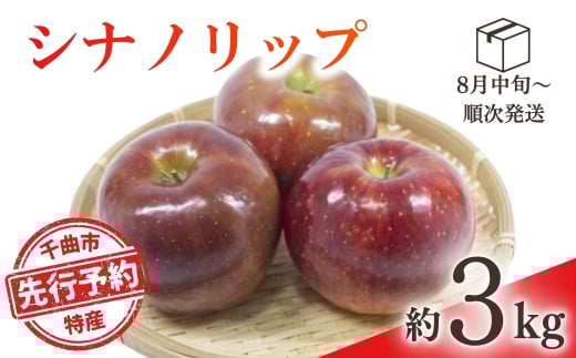 [2025年先行予約]りんご シナノリップ(長野県オリジナル品種) 約3kg 林檎 千曲市 長野県産 信州