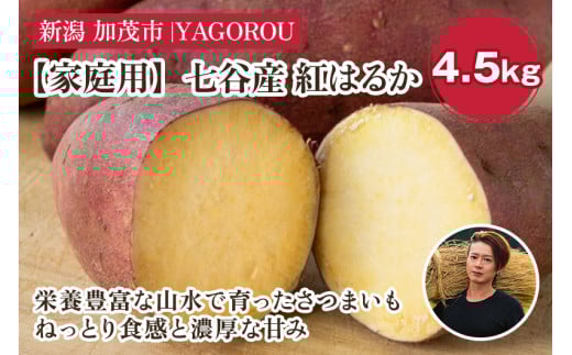 【2025年先行予約】【家庭用】紅はるか 4.5kg（A品・B品混在） 新潟県加茂市七谷産 さつまいも《11月下旬〜順次発送》 サツマイモ お芋 焼き芋 スイートポテト 野菜 根菜 低温熟成 加茂市 YAGOROU ヤゴロウ