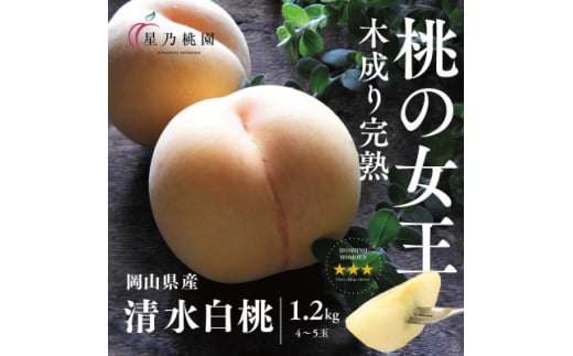＜清水白桃＞岡山県産 三つ星 星乃桃園 1.2kg (4～5玉)【1614283】