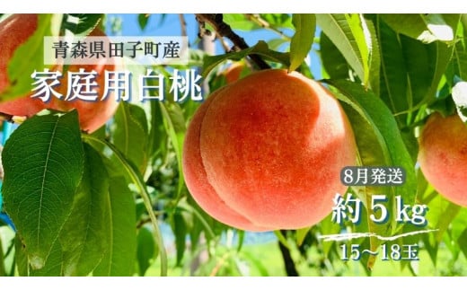 田子の家庭用白桃 約5kg(15〜18玉) 8月出荷