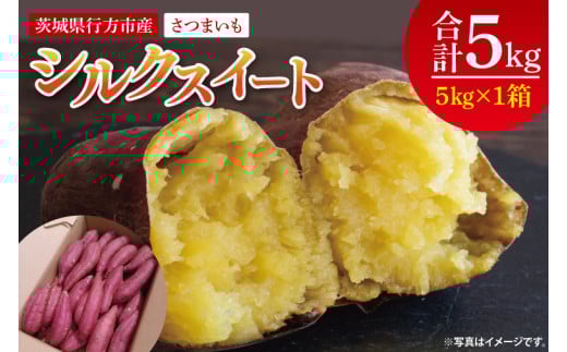 【2025年9月より順次発送】さつまいも(シルクスイート) 約5kg｜さつまいも 芋 サツマイモ シルクスイート 先行予約 茨城県 行方市(HP-2) 2102444 - 茨城県行方市