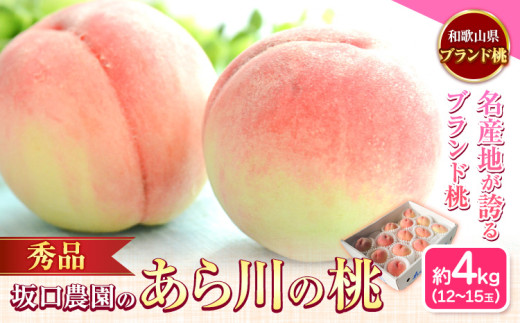 あら川の桃 秀品 約4kg(12~15玉) 坂口農園【先行予約】《2025年6月下旬-8月下旬頃出荷》 和歌山県 紀の川市 桃 もも モモ 白鳳 日川白鳳 紀の里白鳳 清水白桃 川中島白桃 なつっこ 月あかり 黄金桃 あら川の桃 送料無料
