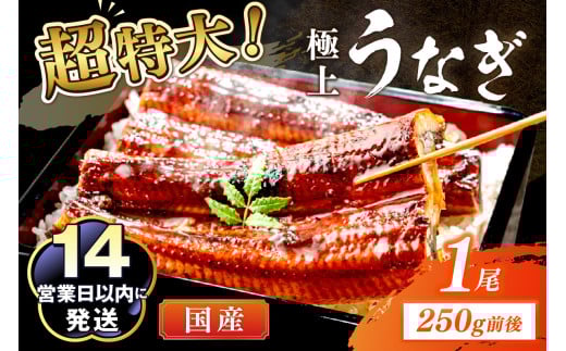 超特大!極上!国産うなぎ蒲焼 1尾 250g前後 YK00400・YK00400_01・YK00400_02