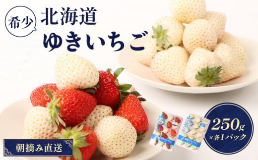 【受注後、随時発送！】【北海道産】ゆきいちご（ゆきぼたん/紅ほっぺ）白×ＭＩＸ 2Pセット 各250g×2 計500g